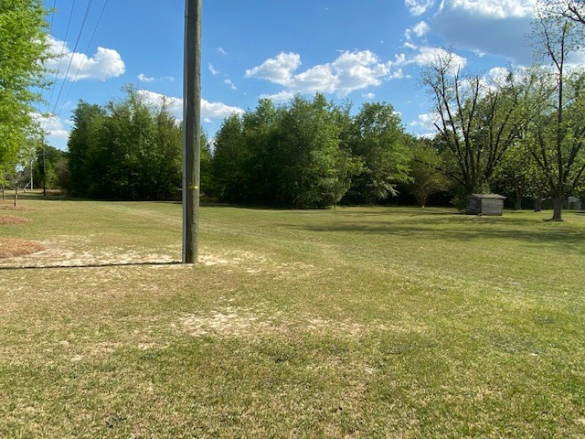 415 Jones Bridge Road North, SC 29112 - Photo 3 of 4 Photo 3