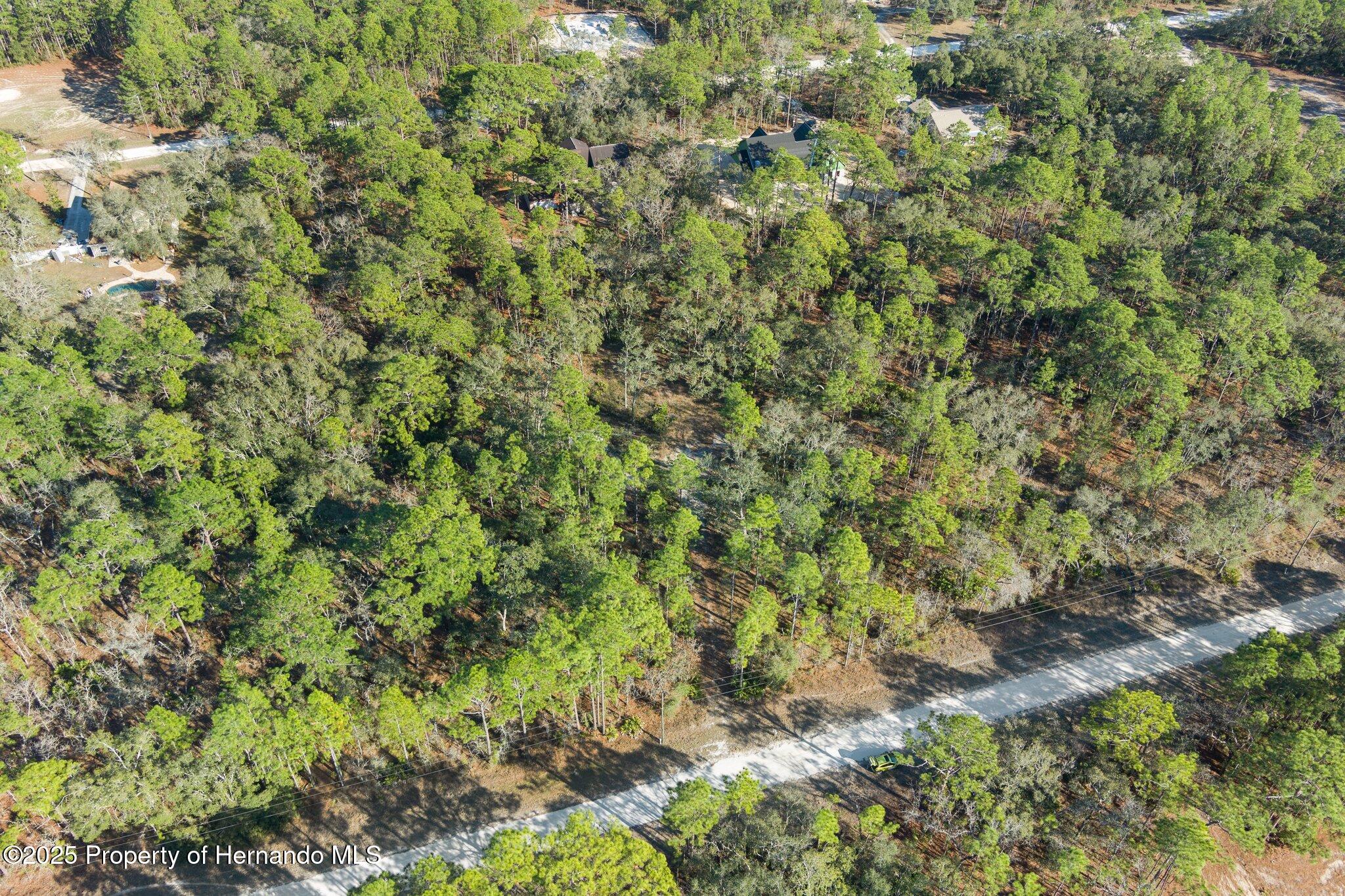 16046 Magpie Road Brooksville, FL 34614 - Photo 4 of 17