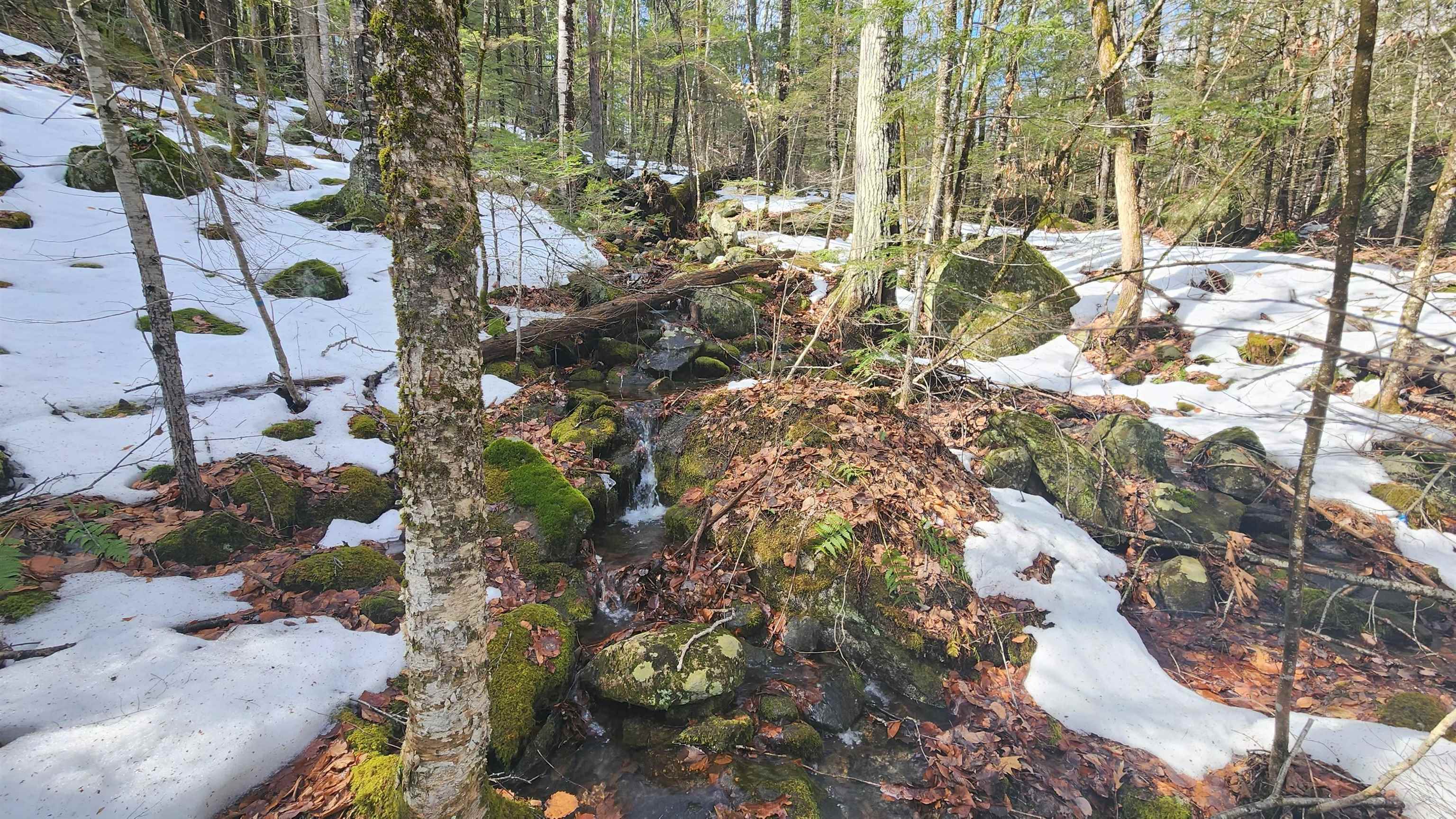 231 Valley Road New Durham, NH 03855 - Photo 14 of 19