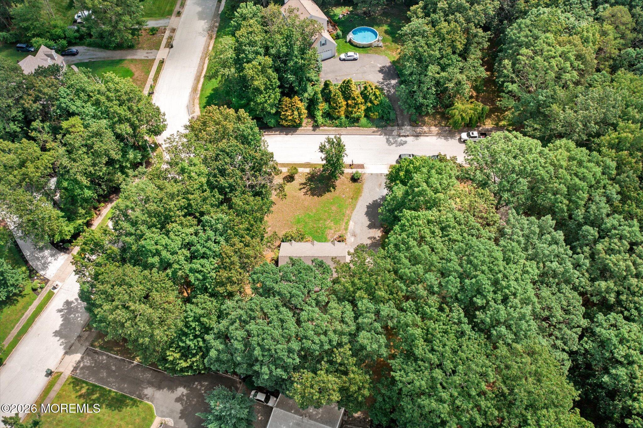 208 North Success Road Cream Ridge, NJ 08514 - Photo 34 of 40 a view of a yard with plants and tree