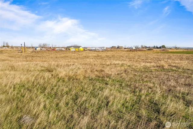 a view of an ocean and beach