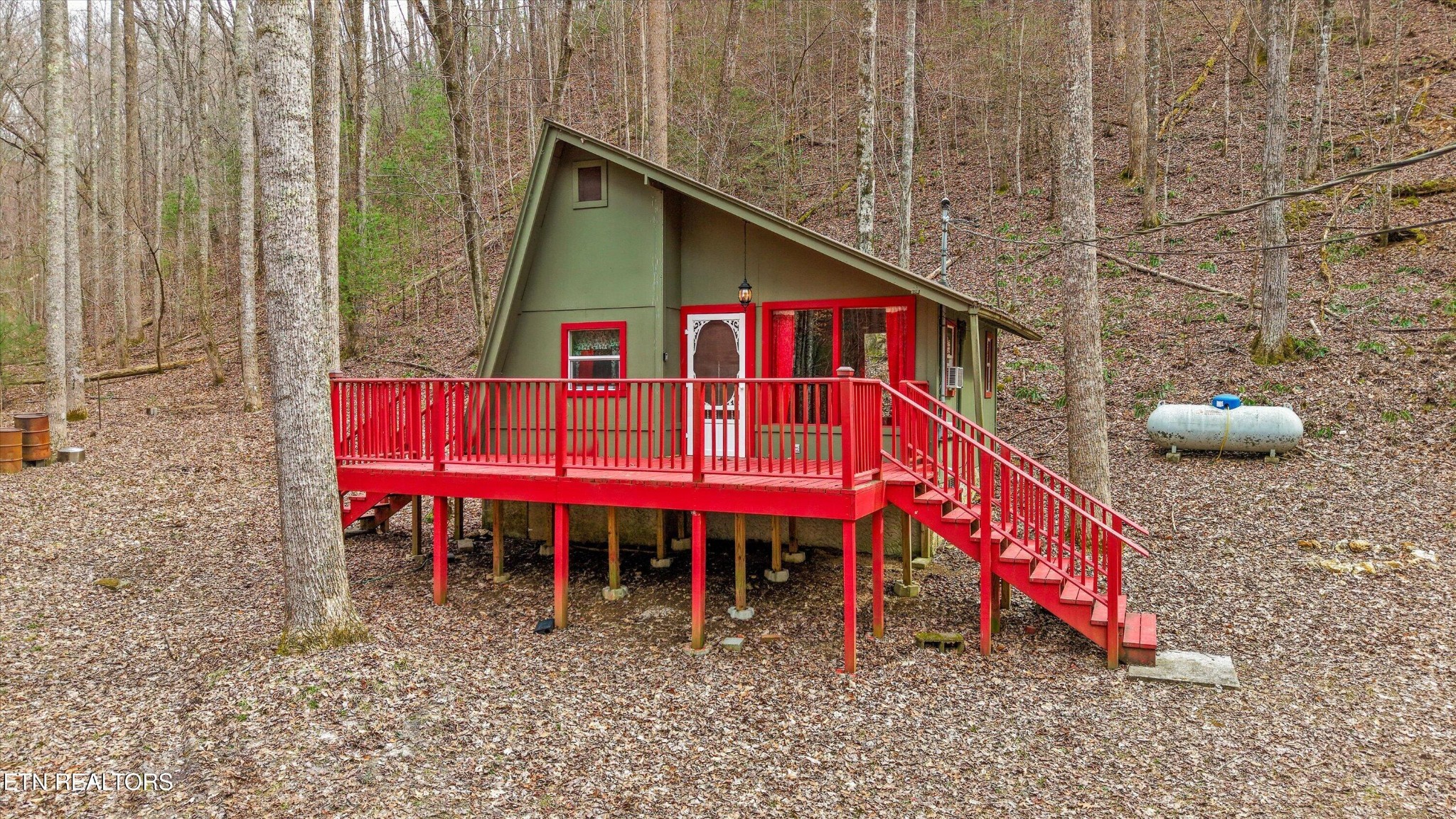 314 Caney Branch Road Tellico Plains, TN 37385 - Photo 1 of 22 Gallery Image 1