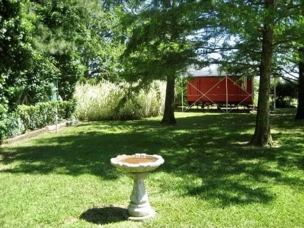 a view of a backyard with a fountain