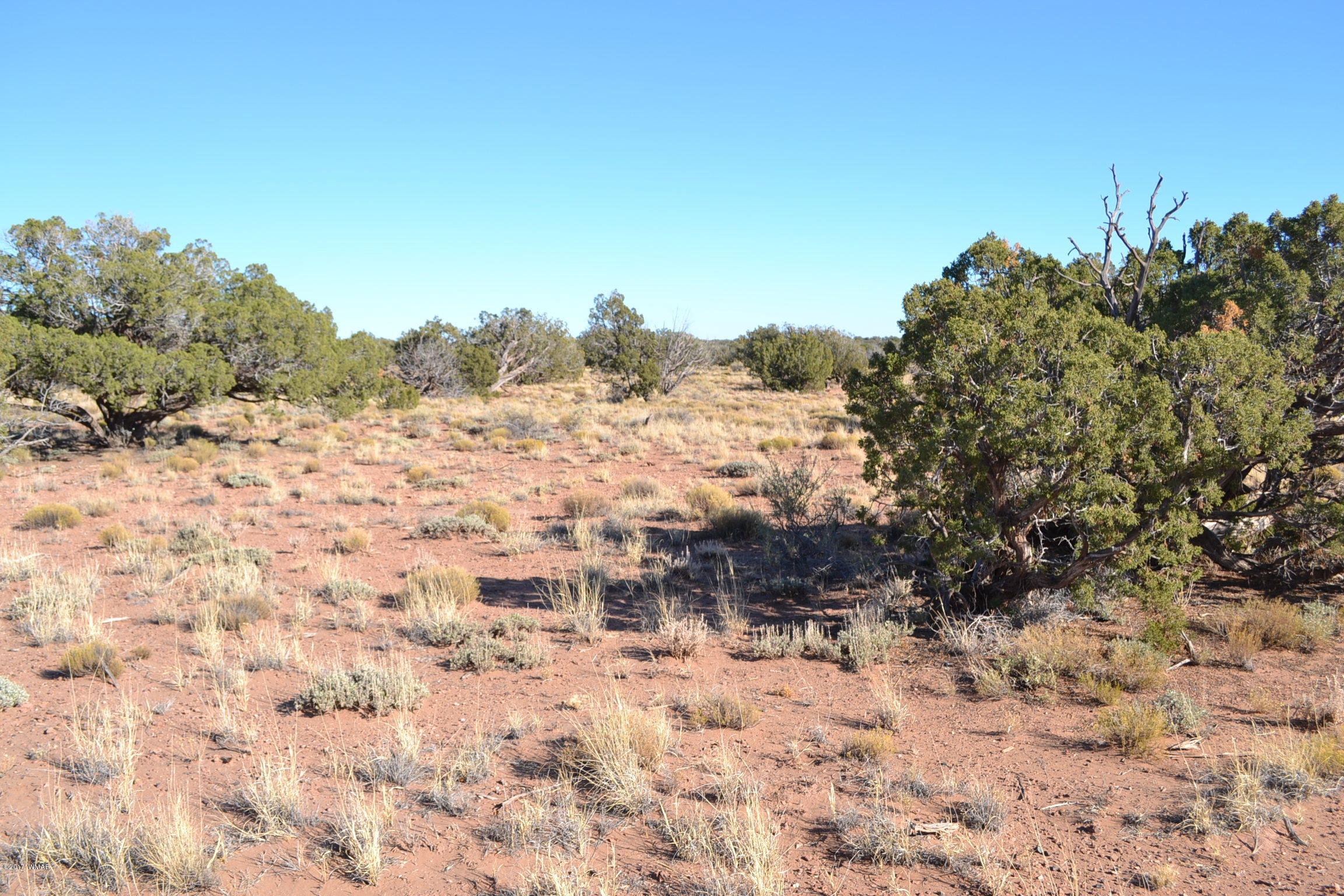 204 Woodridge Ranch, Unit 7 Concho, AZ 85924 - Photo 14 of 23