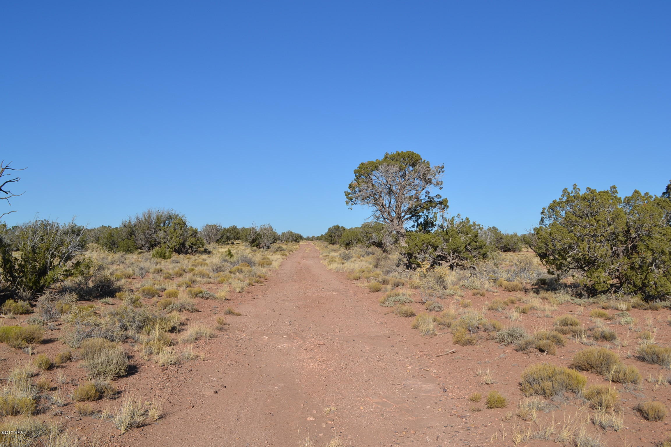 204 Woodridge Ranch, Unit 7 Concho, AZ 85924 - Photo 17 of 23