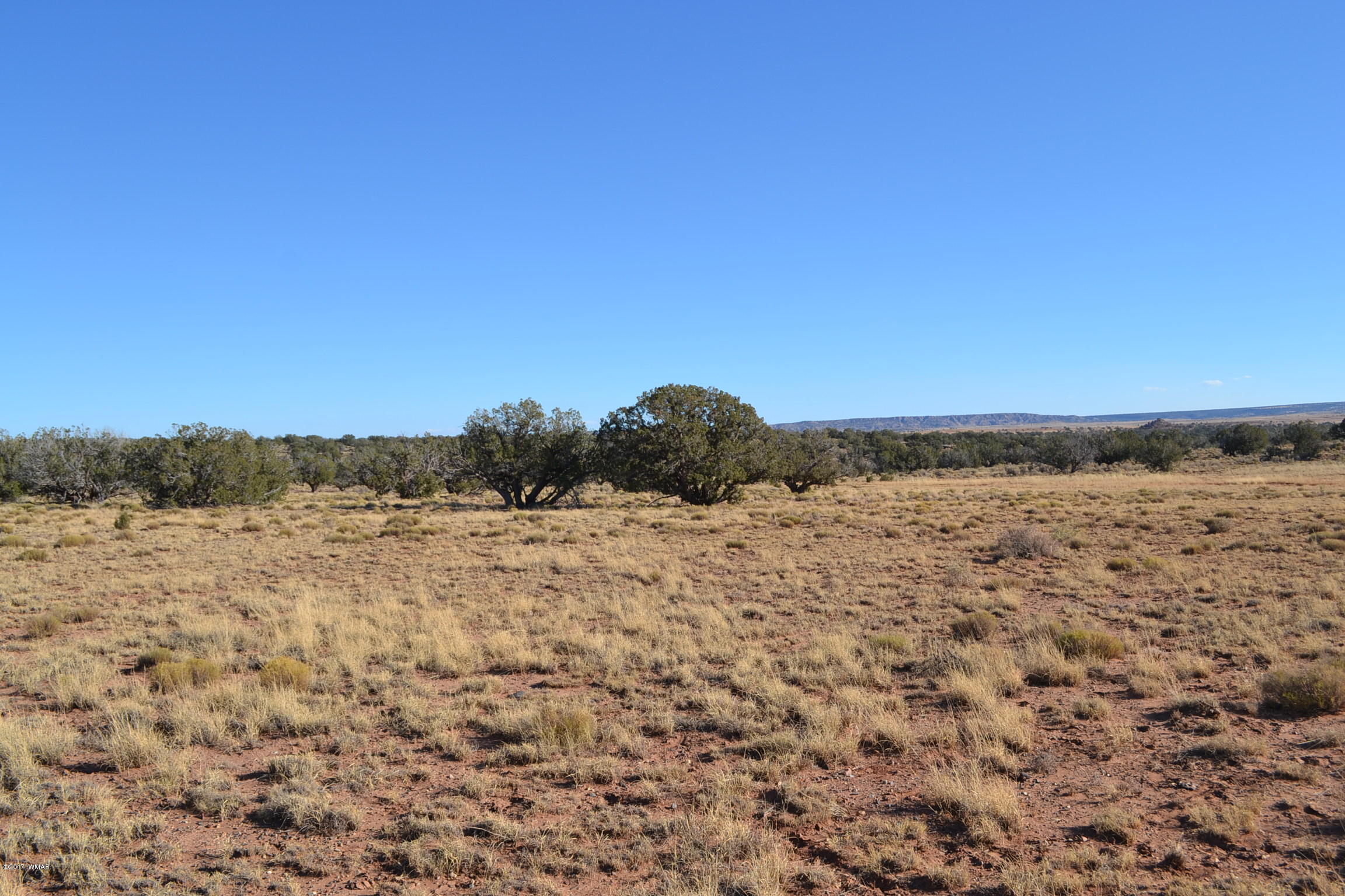 204 Woodridge Ranch, Unit 7 Concho, AZ 85924 - Photo 19 of 23
