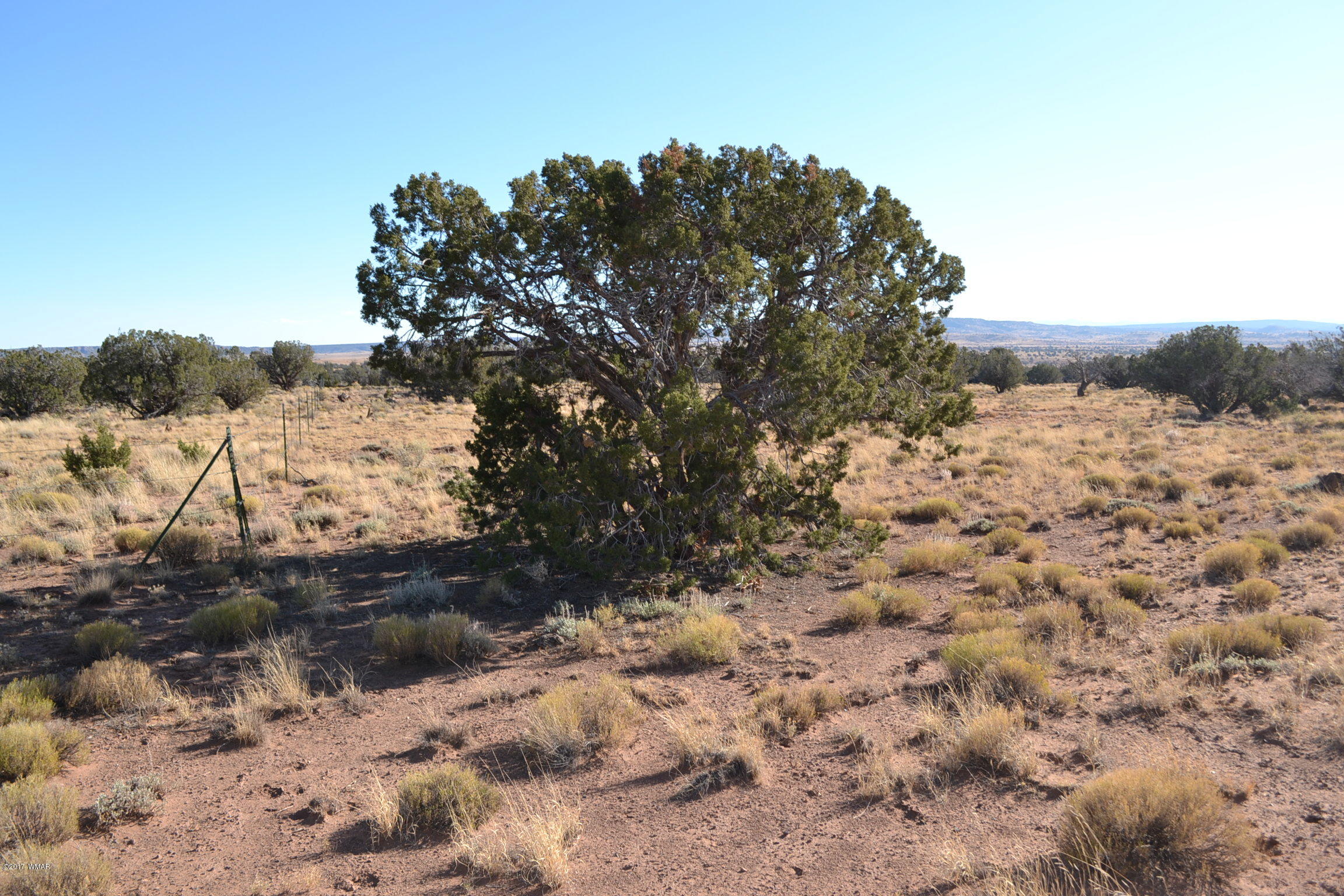 204 Woodridge Ranch, Unit 7 Concho, AZ 85924 - Photo 2 of 23