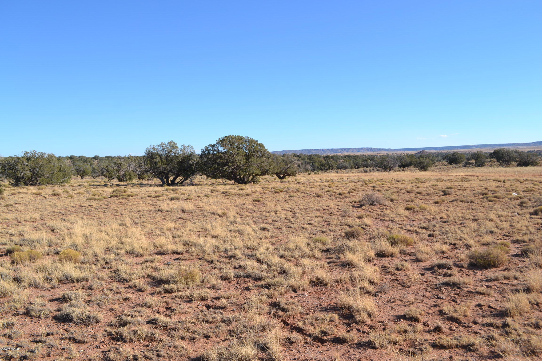 204 Woodridge Ranch, Unit 7 Concho, AZ 85924 - Photo 21 of 23