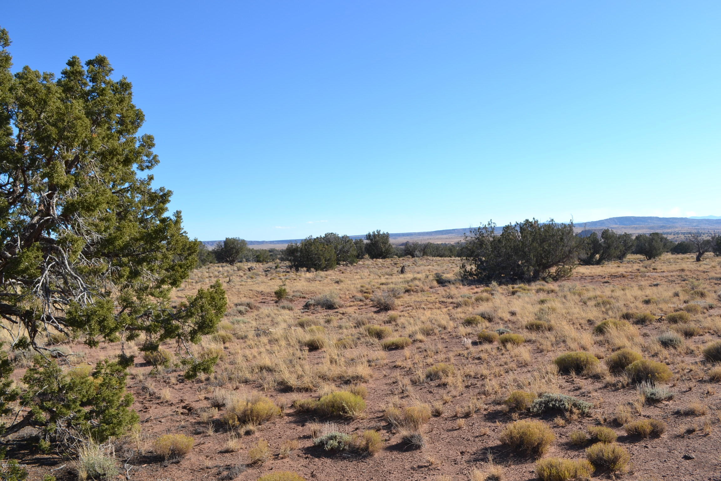 204 Woodridge Ranch, Unit 7 Concho, AZ 85924 - Photo 3 of 23