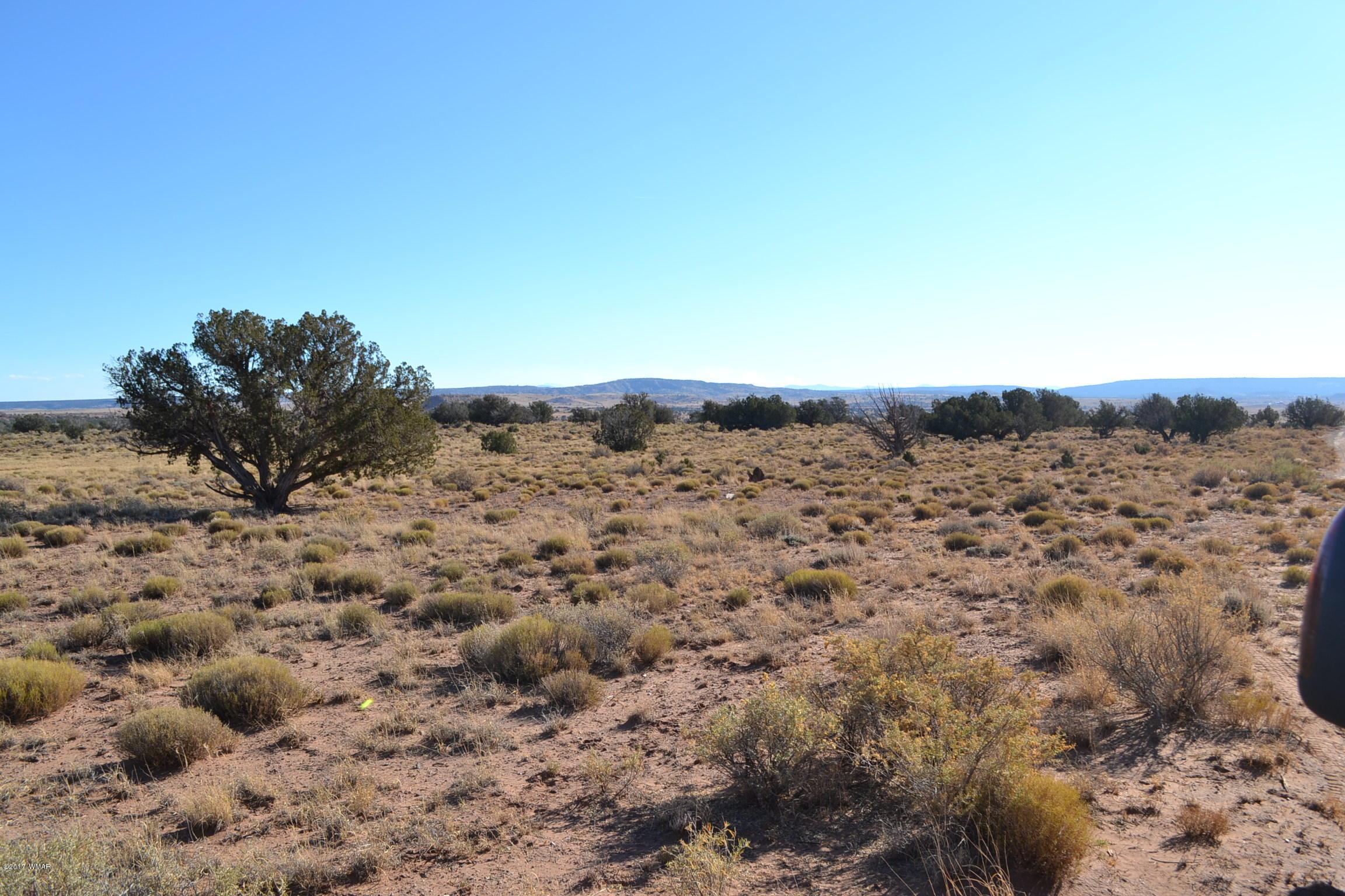 204 Woodridge Ranch, Unit 7 Concho, AZ 85924 - Photo 4 of 23