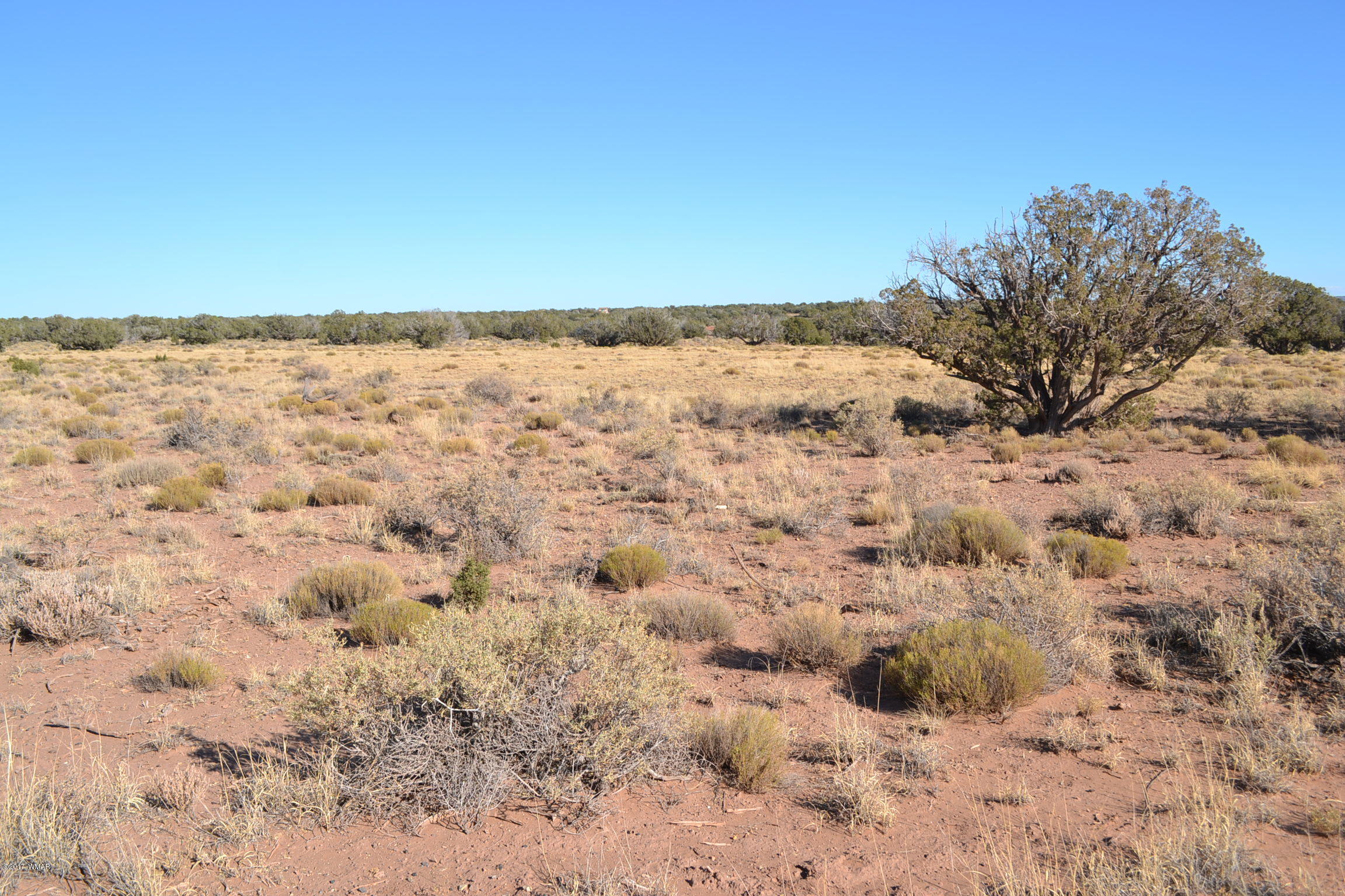 204 Woodridge Ranch, Unit 7 Concho, AZ 85924 - Photo 6 of 23