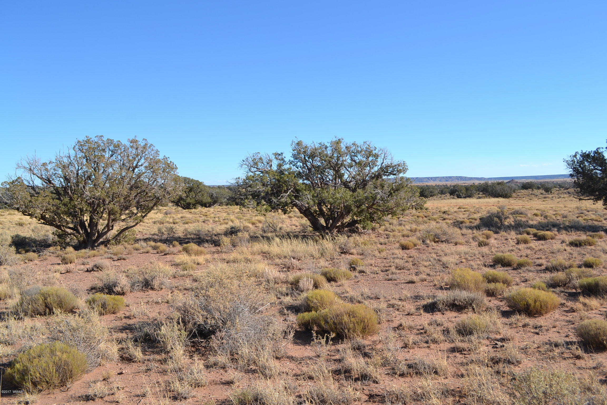 204 Woodridge Ranch, Unit 7 Concho, AZ 85924 - Photo 7 of 23