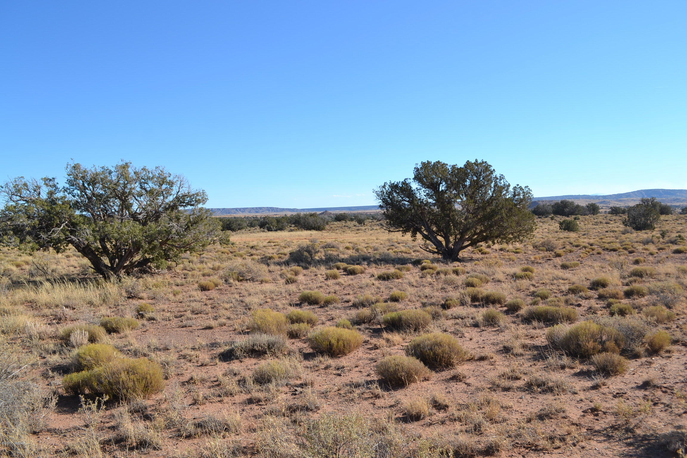 204 Woodridge Ranch, Unit 7 Concho, AZ 85924 - Photo 8 of 23