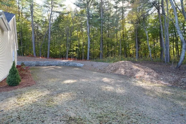 a view of backyard space with trees