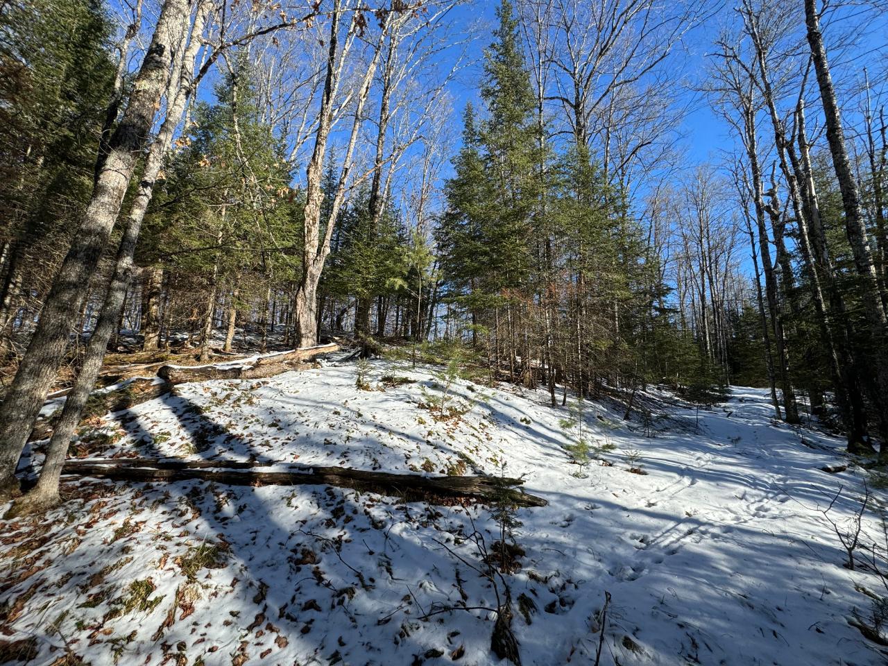 Lot 5 Fisher Lake Road Mercer, WI 54547 - Photo 8 of 11 Gallery Image 8
