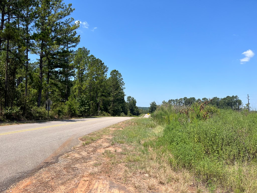 22 Rd Columbia Al Abbeville, AL 36310 - Photo 3 of 4