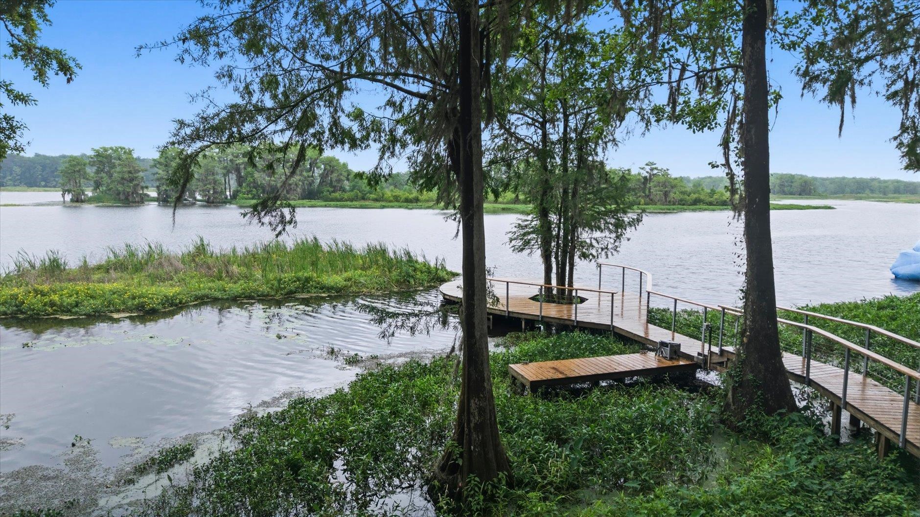 1136 Coe Landing Road Tallahassee, FL 32310 - Photo 49 of 70