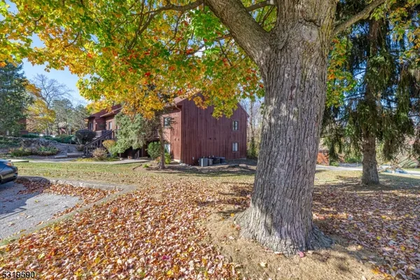 a view of a yard with a tree