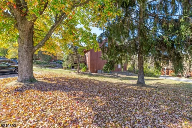 a view of a yard with plants and trees