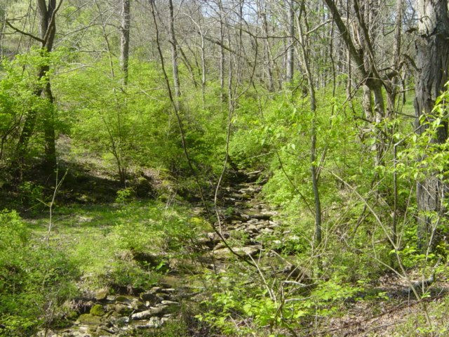 0 Augusta-dover Road Augusta, KY 41002 - Photo 4 of 21 Gallery Image 4