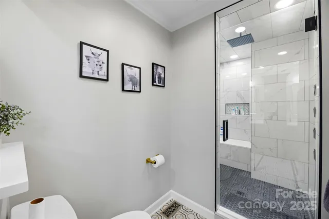 a bathroom with a shower and toilet