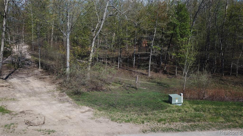0 Oak Ridge Court Prescott, MI 48756 - Photo 11 of 20