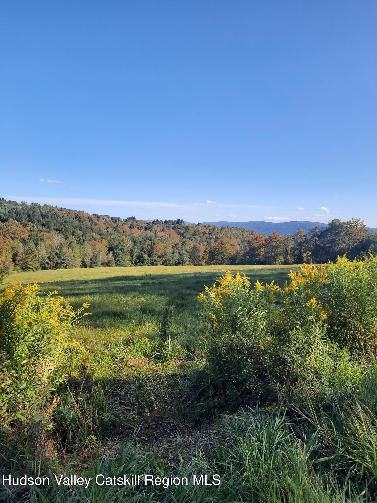 Tbd Upper Dingle Hill Road Andes, NY 13731 - Photo 23 of 44 20250911_165818