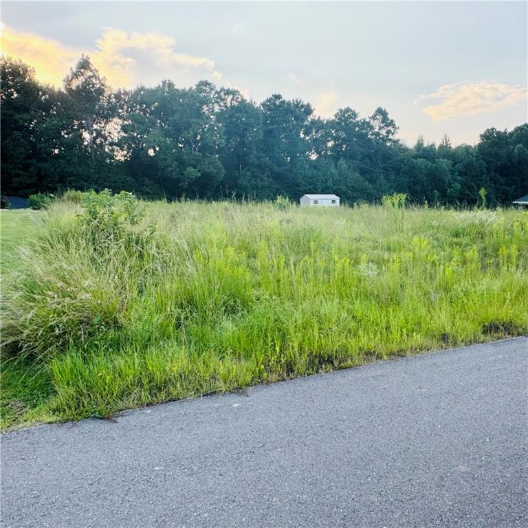 132 Meadow Lane Pollock, LA 71467 - Photo 2 of 4