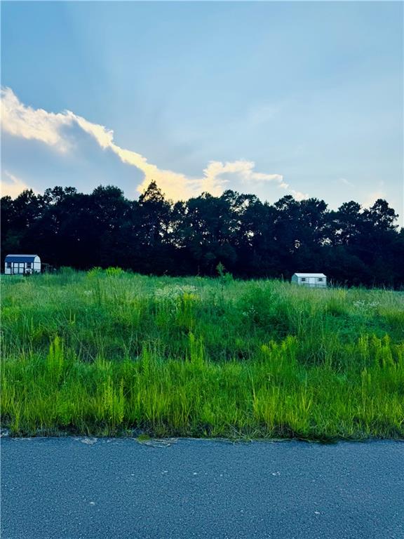 132 Meadow Lane Pollock, LA 71467 - Photo 4 of 4