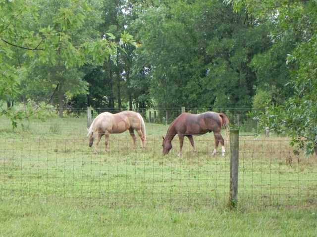 6704 Blacks Road Pataskala, OH 43062 - Photo 3 of 6