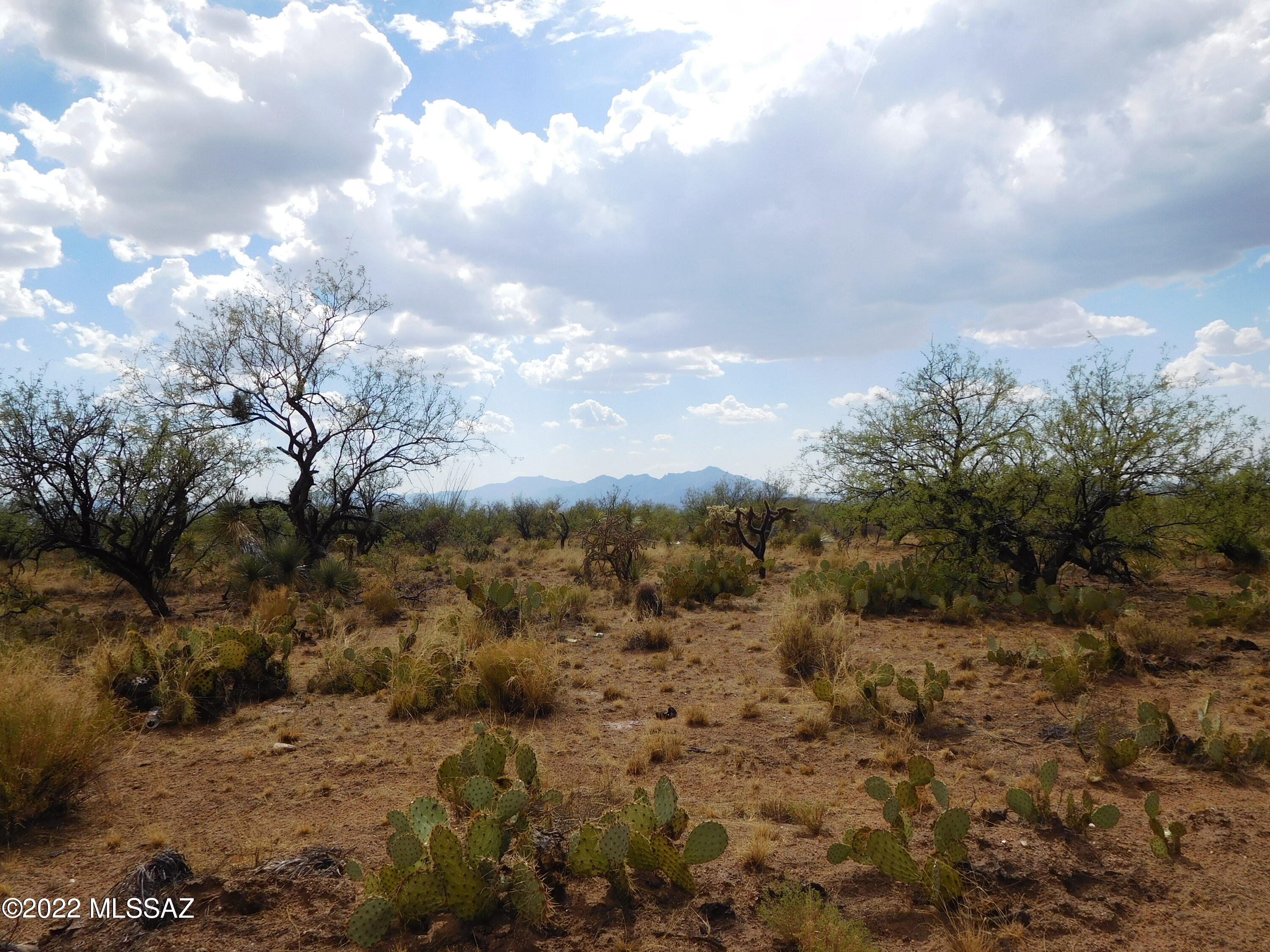 16705 South Sierrita Mountain Road Tucson, AZ 85736 - Photo 30 of 38