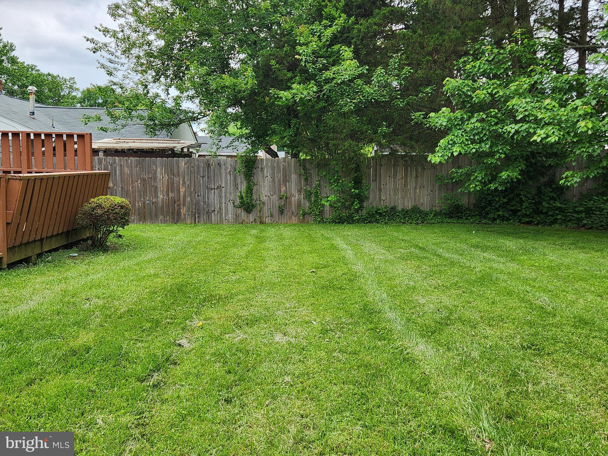 7510 Hogarth Street Springfield, VA 22151 - Photo 14 of 47 Beautiful lawn. flat. private.