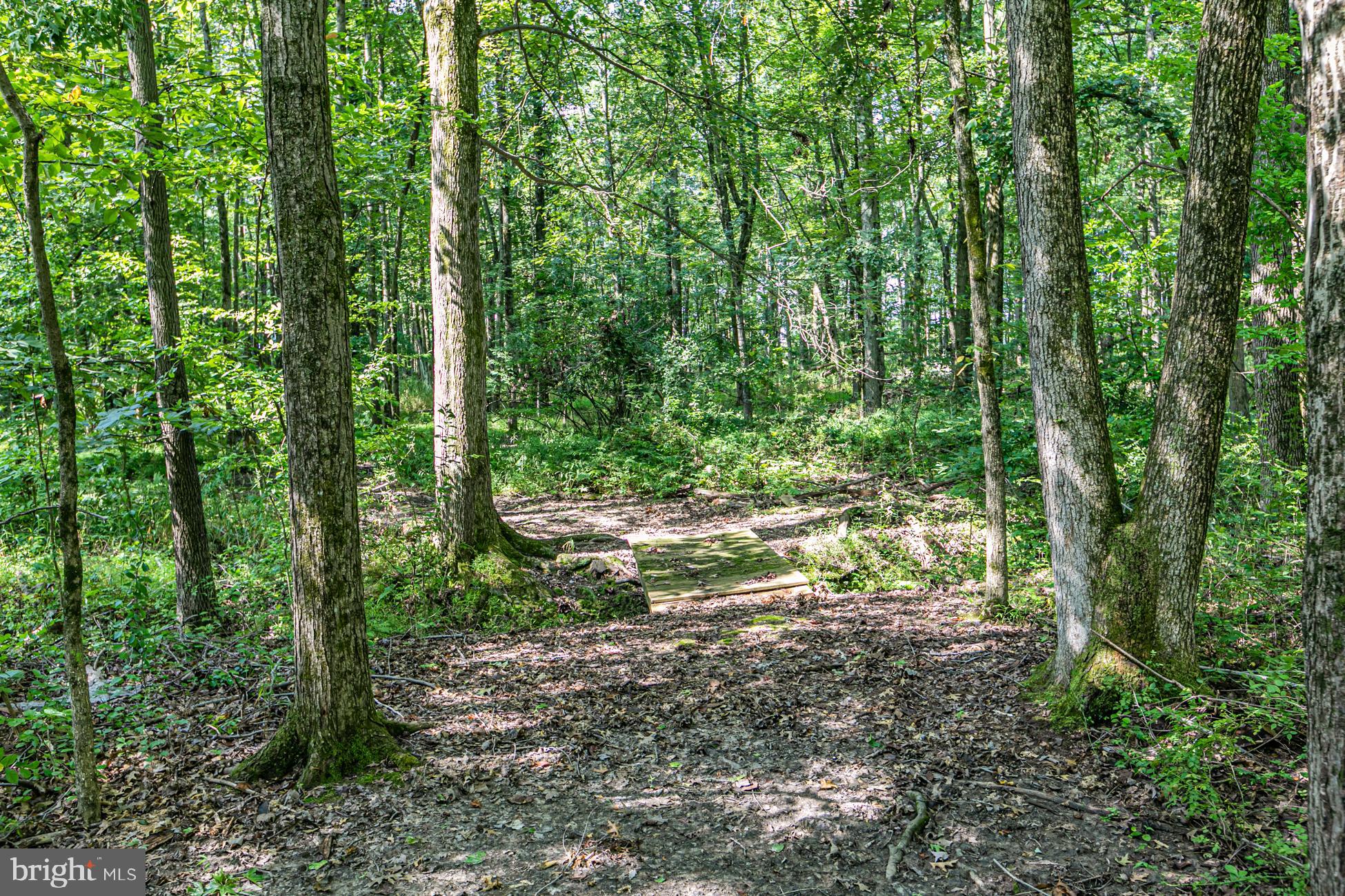 0 Cold Soil Road Princeton, NJ 08540 - Photo 11 of 15