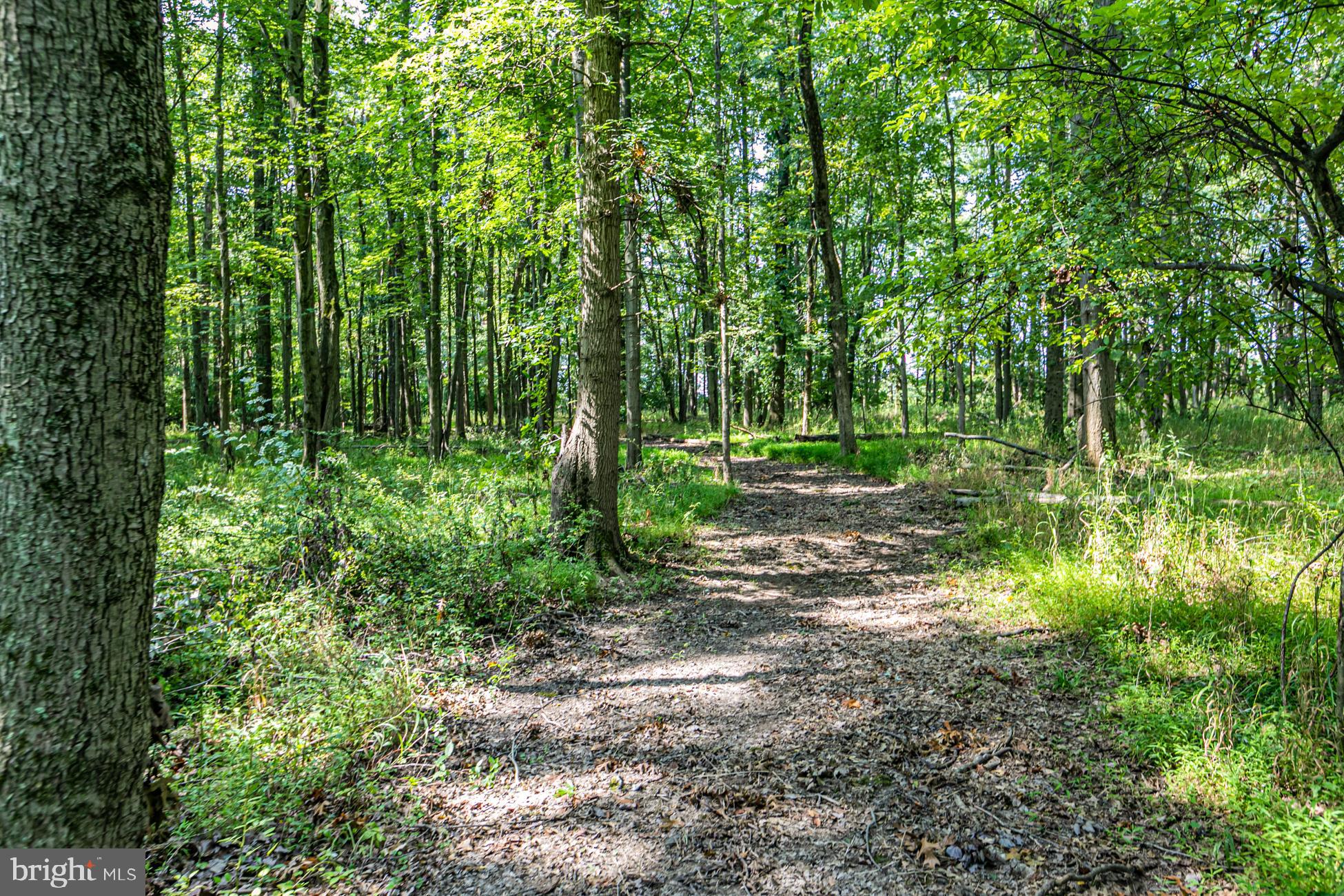 0 Cold Soil Road Princeton, NJ 08540 - Photo 12 of 15