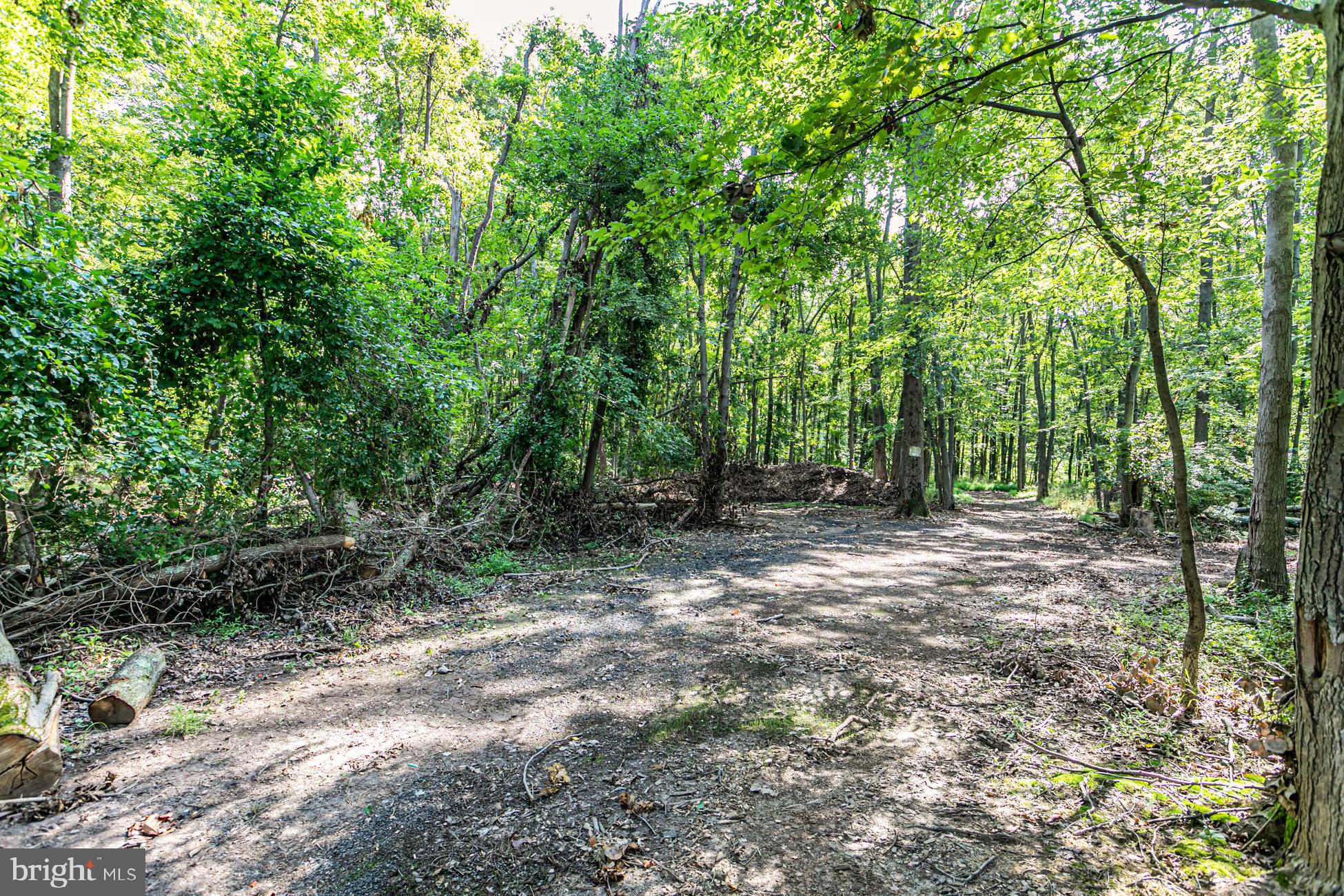 0 Cold Soil Road Princeton, NJ 08540 - Photo 6 of 15