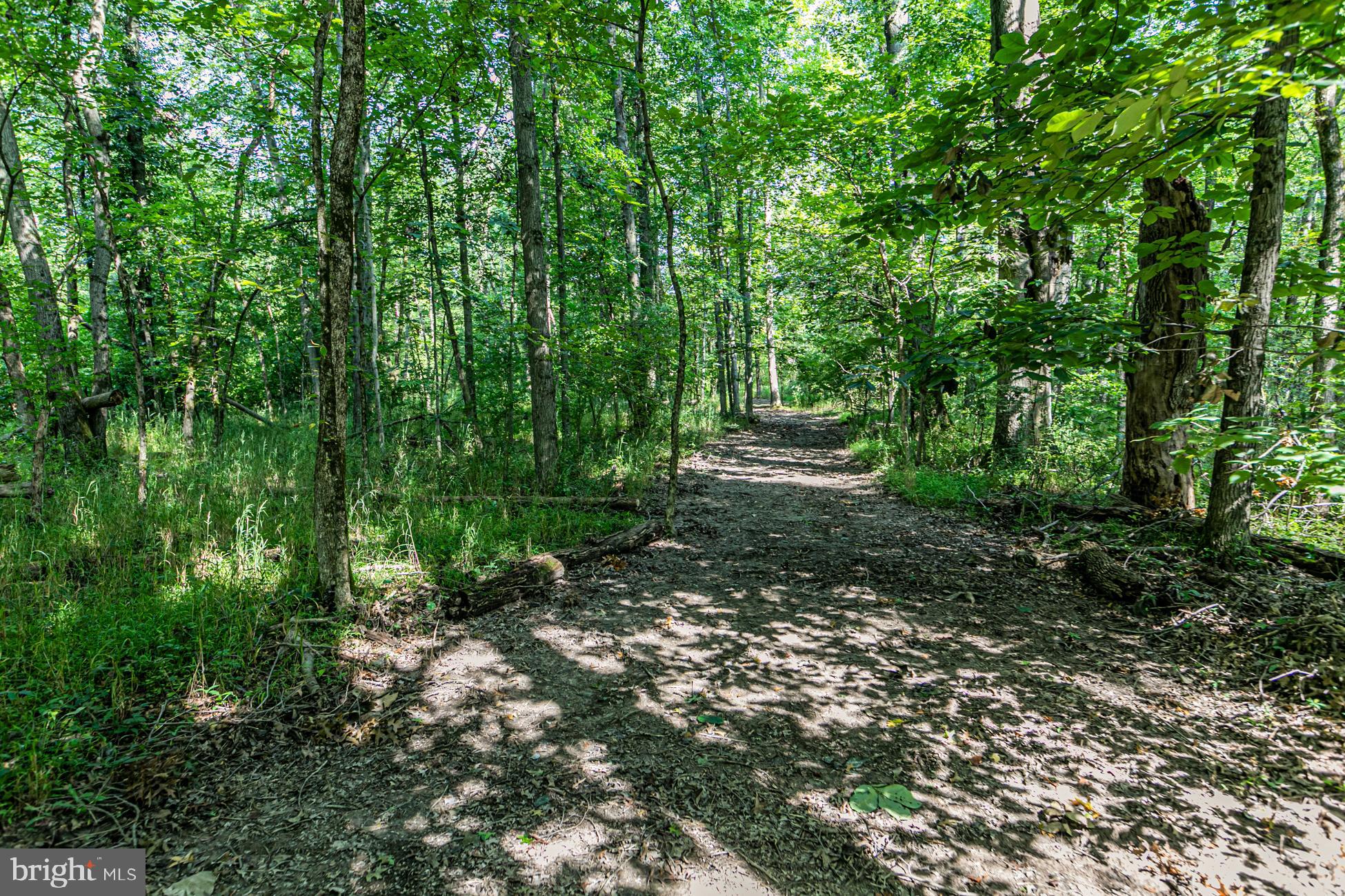0 Cold Soil Road Princeton, NJ 08540 - Photo 10 of 15