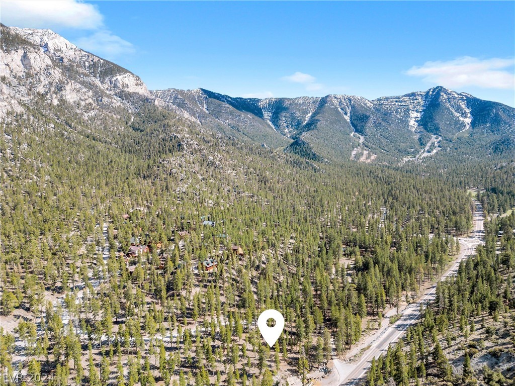 Prime vacant lot in the heart of Lee Canyon, minutes from the renowned Lee Canyon Ski and Snowboard Resort.
