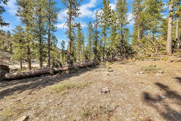 $450,000 | Lee Canyon Road, Mount Charleston, NV 89124