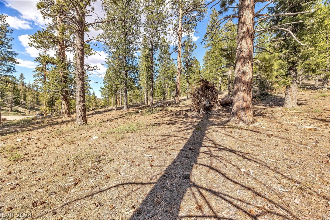 Lee Canyon Road Mount Charleston, NV 89124 - Photo 13 of 54