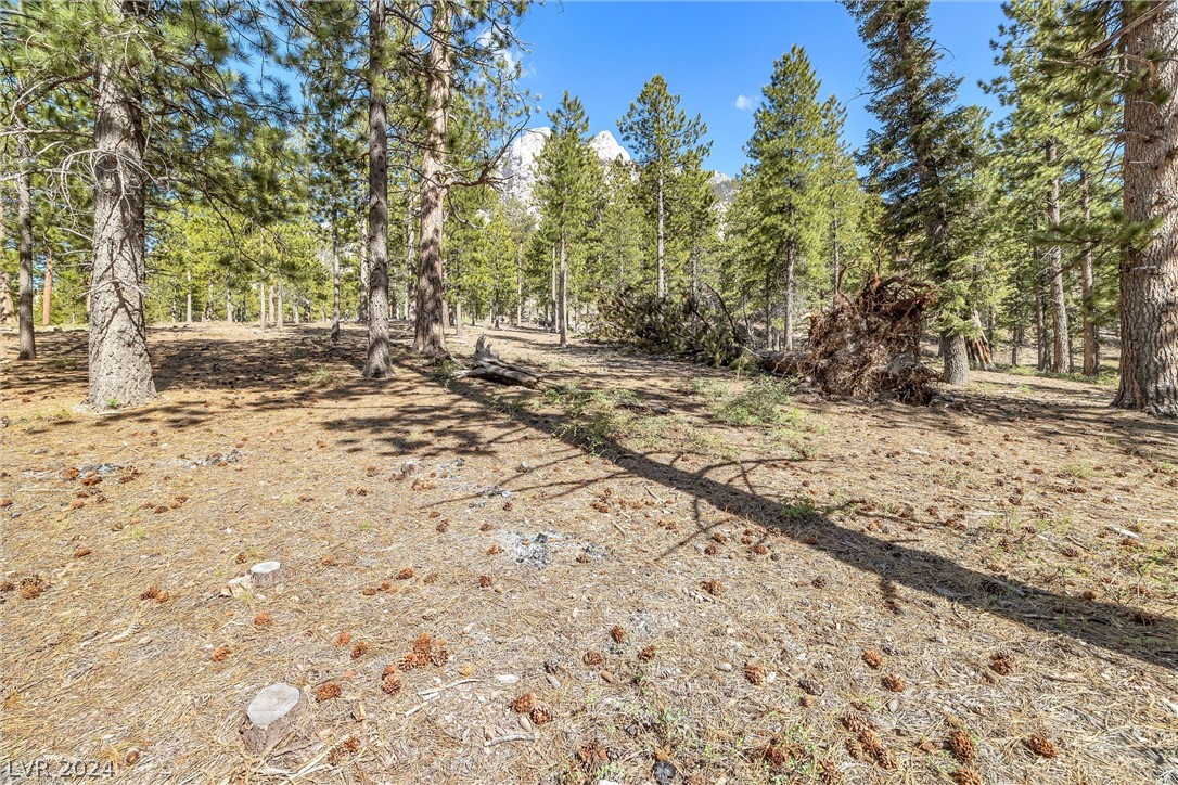 Lee Canyon Road Mount Charleston, NV 89124 - Photo 14 of 54