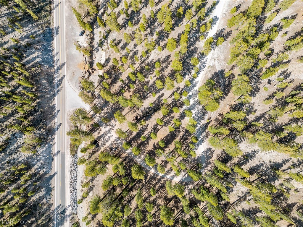 Lee Canyon Road Mount Charleston, NV 89124 - Photo 15 of 54