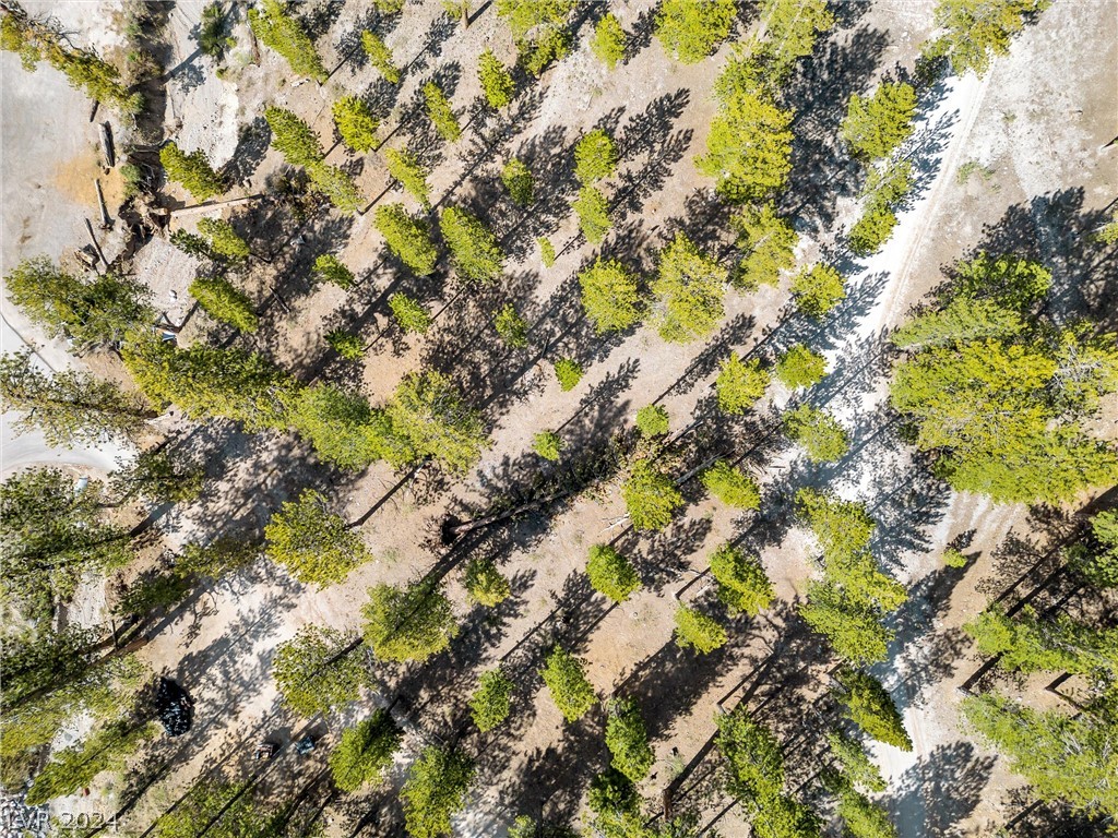 Lee Canyon Road Mount Charleston, NV 89124 - Photo 16 of 54