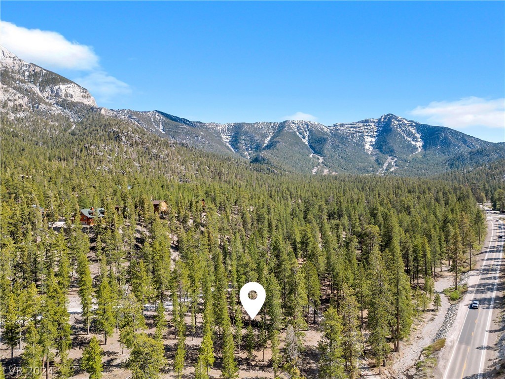 Lee Canyon Road Mount Charleston, NV 89124 - Photo 18 of 54