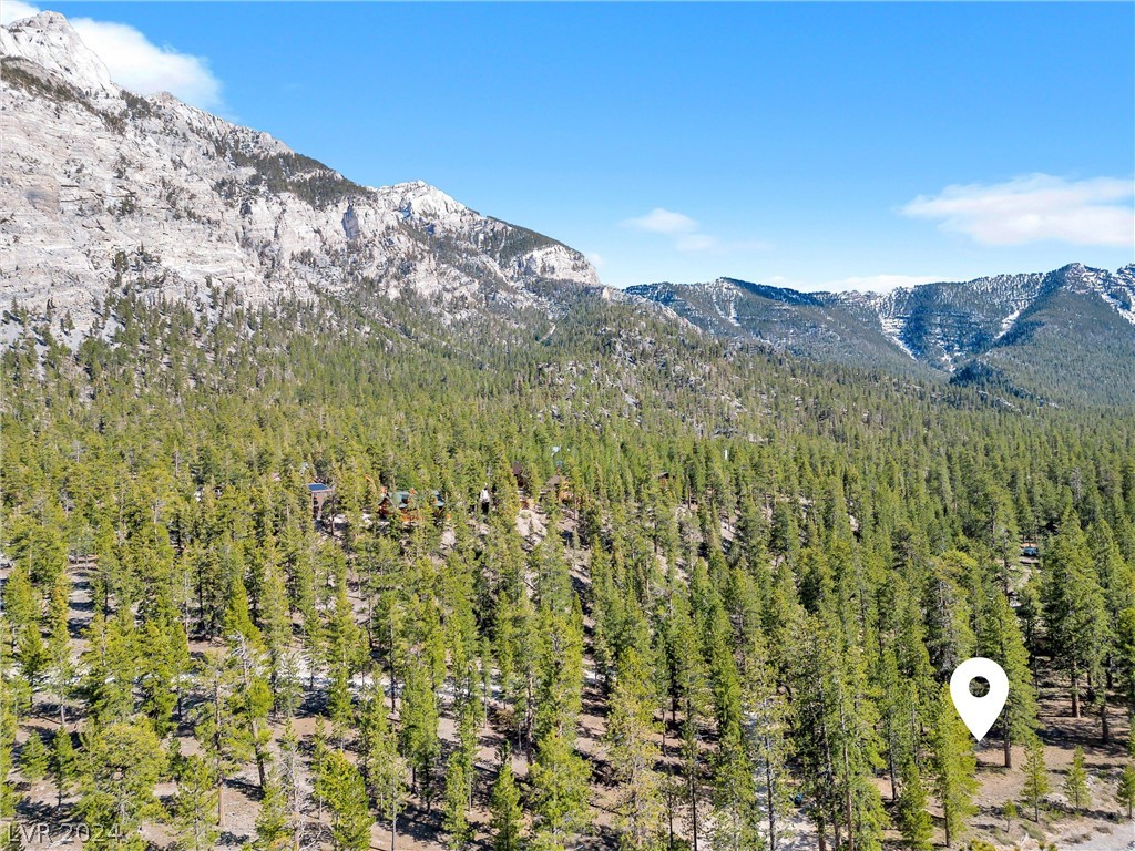 Lee Canyon Road Mount Charleston, NV 89124 - Photo 19 of 54