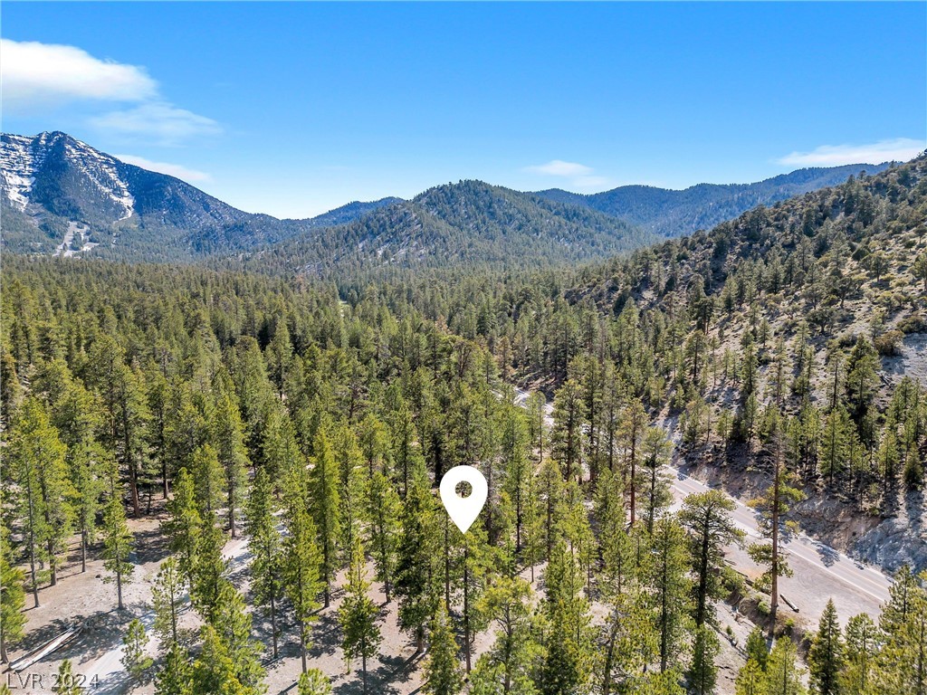 Lee Canyon Road Mount Charleston, NV 89124 - Photo 20 of 54
