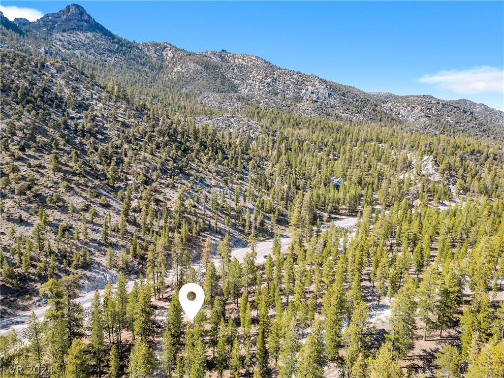 Lee Canyon Road Mount Charleston, NV 89124 - Photo 22 of 54