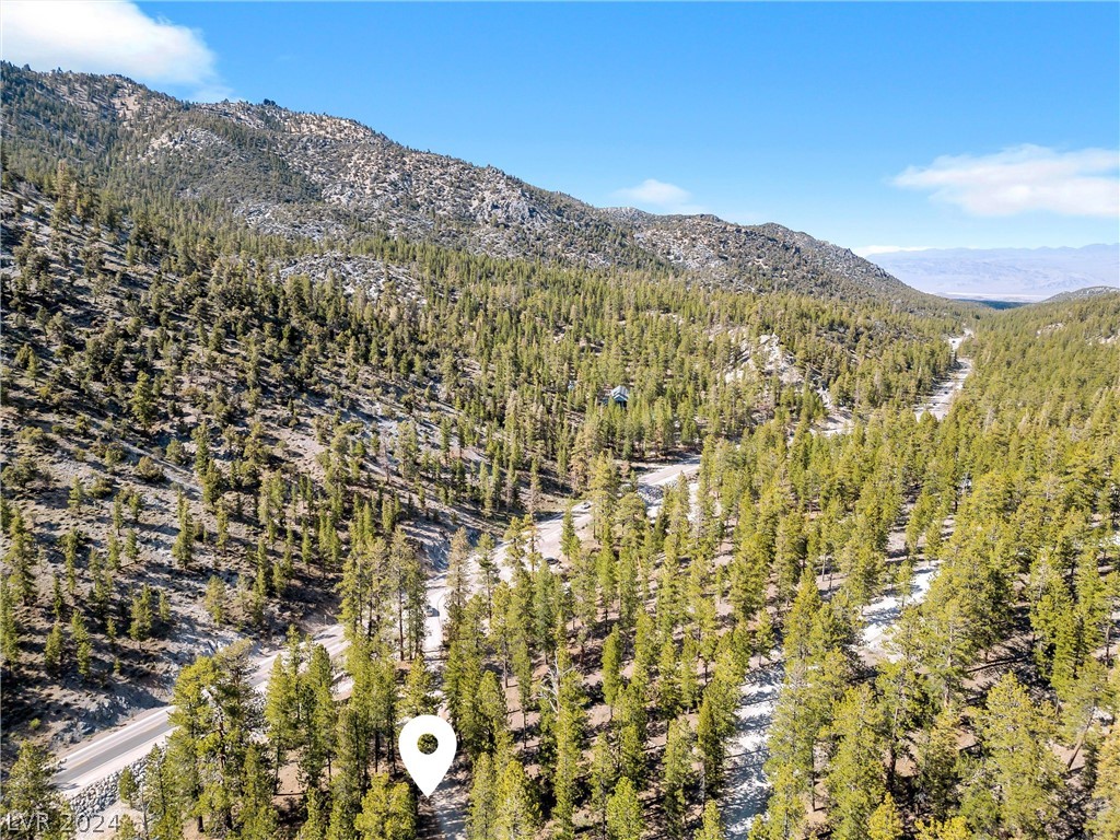 Lee Canyon Road Mount Charleston, NV 89124 - Photo 23 of 54