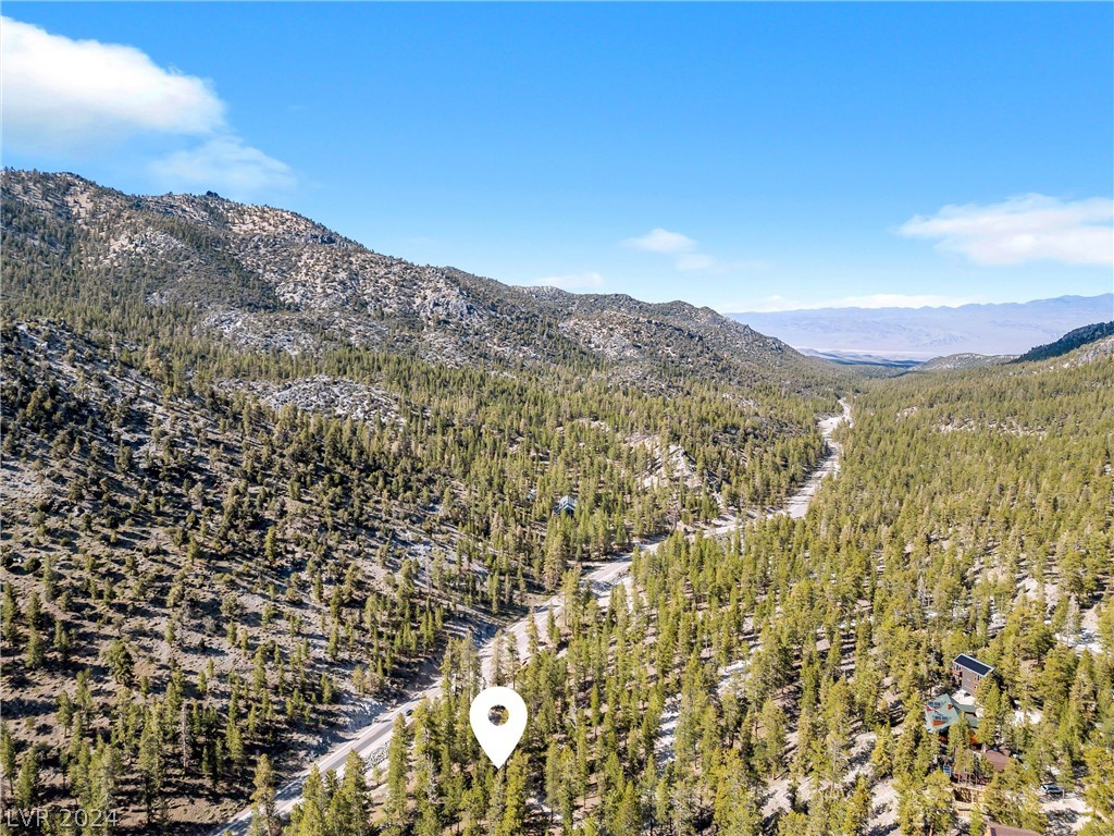 Lee Canyon Road Mount Charleston, NV 89124 - Photo 26 of 54