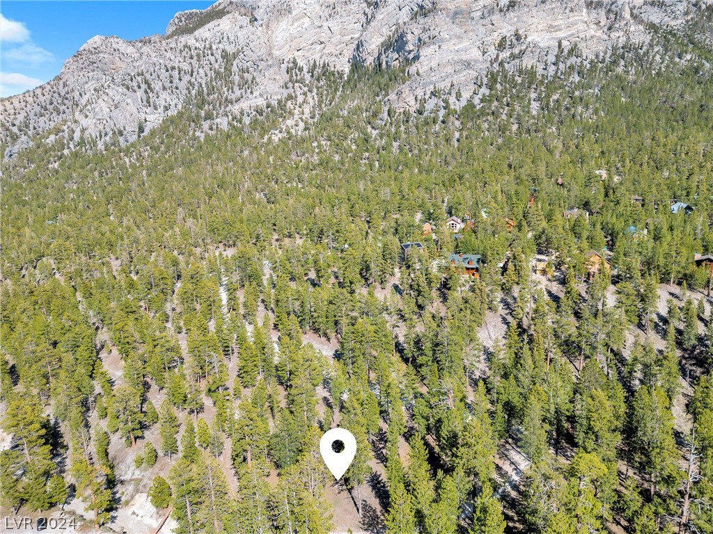 Lee Canyon Road Mount Charleston, NV 89124 - Photo 28 of 54