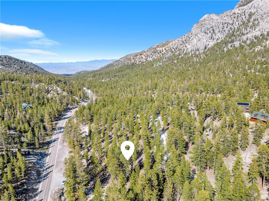 Lee Canyon Road Mount Charleston, NV 89124 - Photo 29 of 54